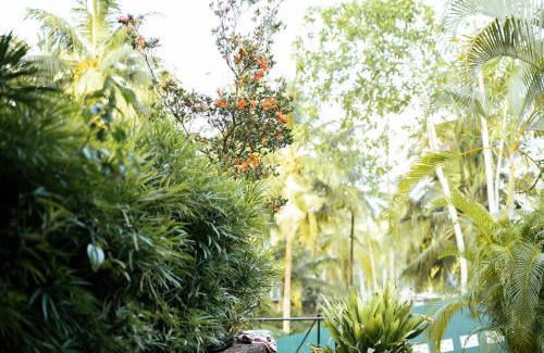 Habaraduwa Villa | Calm Villa