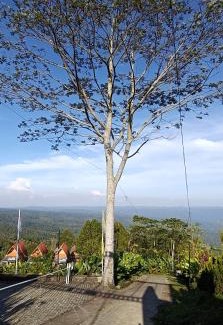Munduk Hotel | Camaradvipa Retreat Munduk
