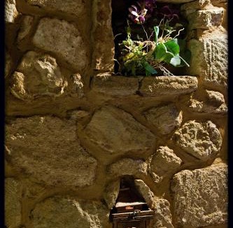 Synikia Mesi Trikalon House | Camelia Suites