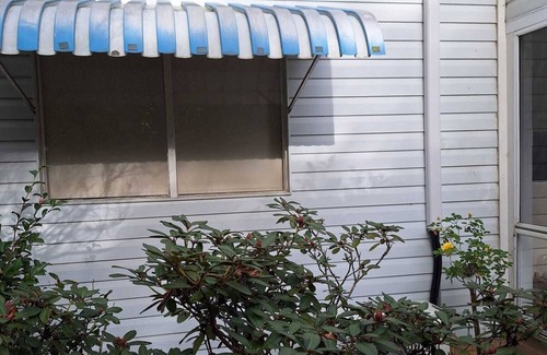 Blackheath Cottage | Camellia Cottage - a relaxing getaway in the misty mountains!