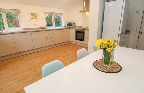 Chysauster Cottage | Camellia