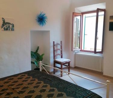 Volterra House | Camera Botanica