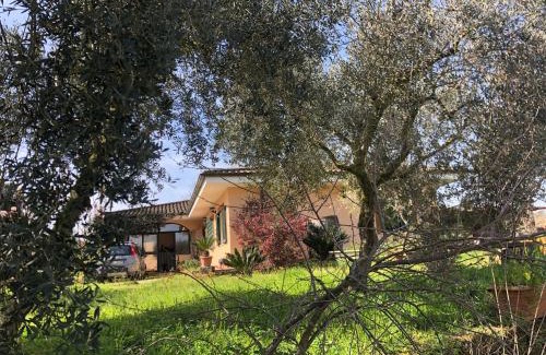 Nettuno House | Camera Sydney