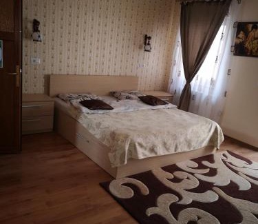 Alba Iulia Hotel | Camere-Apartament Steyna
