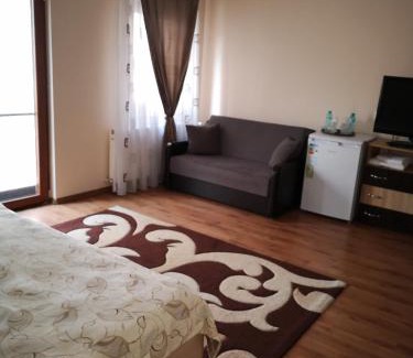 Alba Iulia Hotel | Camere-Apartament Steyna