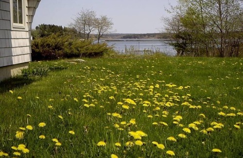 Harpswell Cottage | 'Camp Card Cove' the Way Life Should Be
