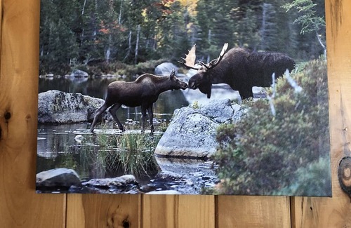 Abbot Cabin | Camp Cozy, On beautiful Piper Pond