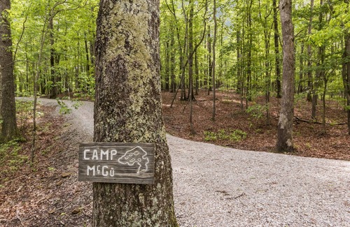 Clifftops House | Camp McGu: Lakefront, 3 Fireplaces + Firepit, Pizza Oven, Gorgeous Setting
