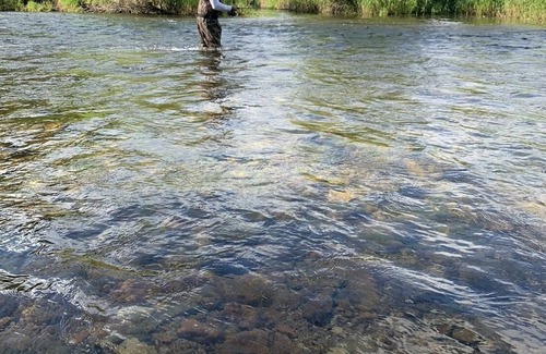 Ravalli County Other | CAMP SULA - RV SPOT #10 - back in , 20 foot or less RV