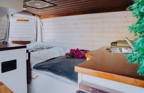 San Sebastian de la Gomera Other | Camper Majona