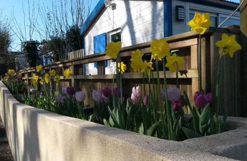 Pouldreuzic House | Camping 3 étoiles - Piscine - eeefig