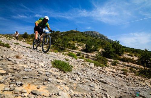 Sainte-Croix-du-Verdon Apartment | CAMPING 3* ! PROGHE DES GORGES DU VERDON ET LAC DE STE CROIX 04500 ! TOUT EQUIPE ! CHAMPS DE LAVANDES ! CALME ! NBRES ACTIVITES ! RANDONNEES ! NAUTISME !