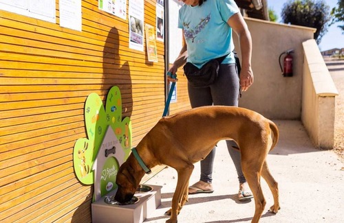 Thegra House | Camping 4 étoiles - Piscine - eeicac