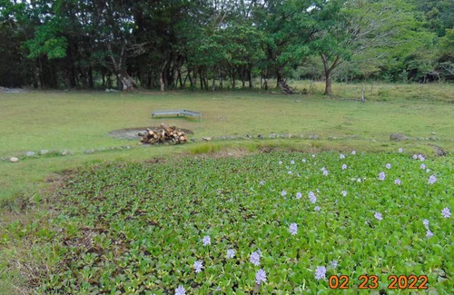 Tierras Morenas RV Rental | Camping and RV parking area 5