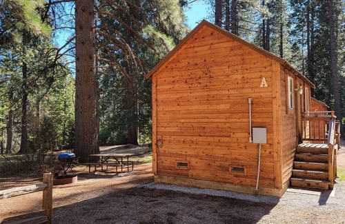 Shingletown RV Rental | Camping Cabin A at Bigfoot Lodging Lassen