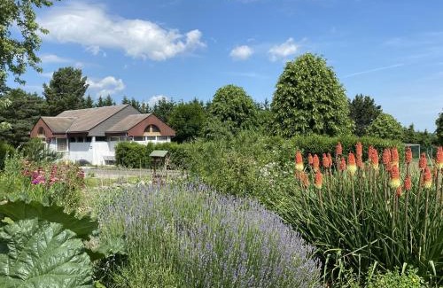 Rochefort-Montagne Other | CAMPING de la BUGE