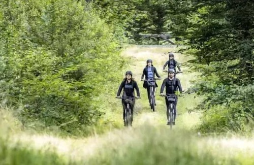 Salbris House | Camping de Sologne*** - Mobile Home Chesnaie 3 rooms 4 people