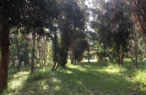 Appietto Other | Camping du Soleil