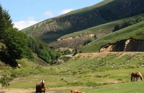 Ascarat Other | Camping Europ'Camping - Maeva