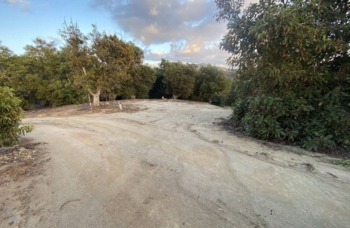 Fallbrook RV Rental | Camping in the Avocados with Mountain river views
