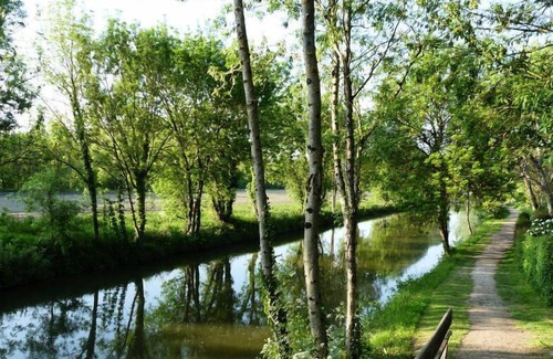 Chaille-les-Marais House | Camping l'Ile Cariot *** - 3-room Canvas Bungalow 4 people