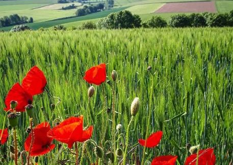 Ransdaal Other | Camping La Dolce Vita