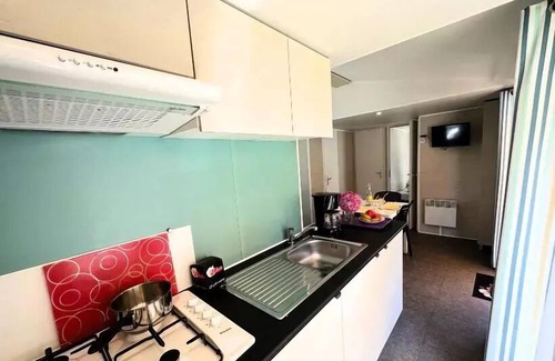 Olonne-sur-Mer House | Camping Le Nid d'Été * - 4 Room Mobile Home 6 People + TV