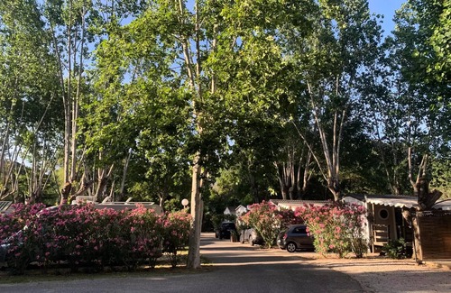 Carces House | Camping Les Fouguières* - Mobile Home Classic Eco Wood 2 Rooms 2 People