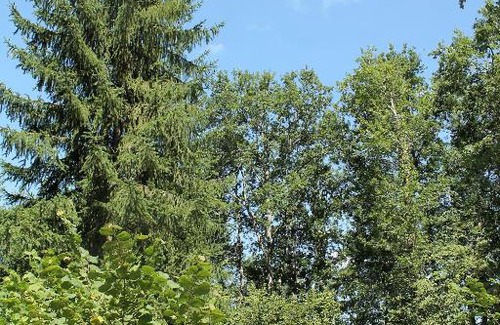 Condat-sur-Ganaveix Other | Camping Moulin De La Geneste