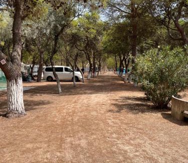 Manfredonia Other | Camping Tellina