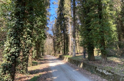 Cincelli Apartment | Campoleone 5 - Apartment on historical property near Arezzo, Tuscany