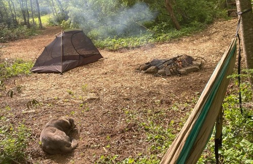 Zirconia RV Rental | Campsite 1 - Creekside on 38 acres -biking and hiking trails