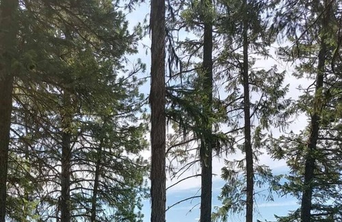 Olney RV Rental | Campsite #1 with Lake Access