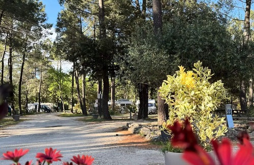 Bollene House | Campsite La Simioune in Provence * - MH PREMIUM MONTSEREIN Air-conditioned - view on forest- 2 bedrooms+ dishwasher +TV (2 adults+2children) 2 to 4 people - 2 pers. i