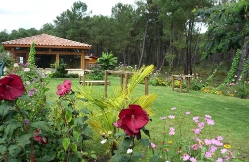Saint-Michel-Escalus House | Campsite LANDES OCEANES * - MH 4 pers 4 persons