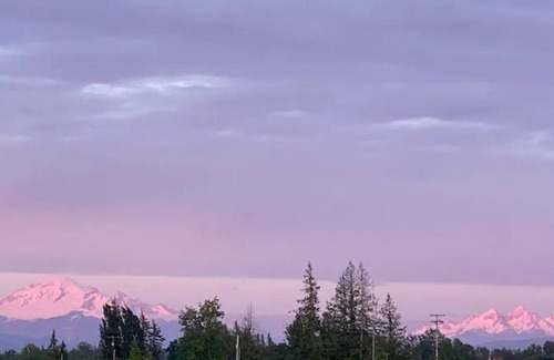 Ferndale RV Rental | CAMPSITE Mourning Dove at June Bud Farms