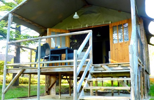 Bouvet Island House | Campsite Quercy Vacances* - 3-room cabin on stilts for 4/6 people