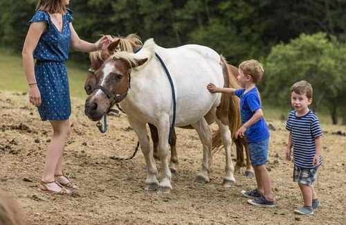 Servies House | Campsite Saint Pierre de Rousieux**** - Very large Mobile Home 4 Rooms 6 People