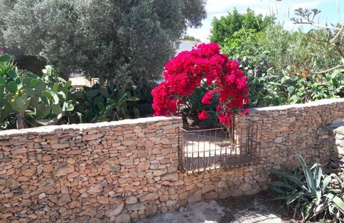 Es Cap de Barbaria Cottage | Can Toni Events