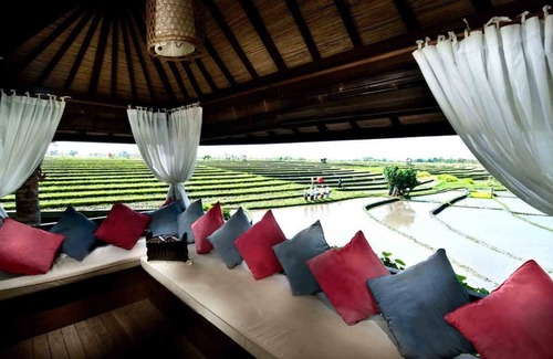 Batu Bolong Villa | Canggu Pool Villa 375, 5 bedrooms