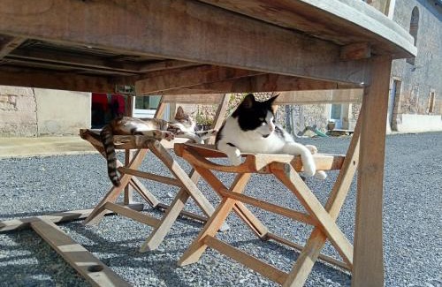 Manvieux House | CAP MANVIEUX Gîtes