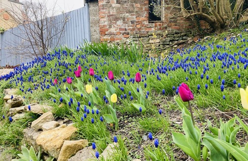 Branston Cottage | Capella Cottage, 4 Miles From Lincoln City Centre