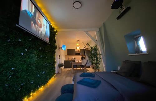 Roubaix Apartment | Capsule Roubaix/Lille Balneo*Home cinéma*Billard