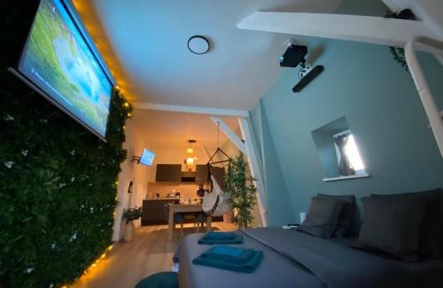 Roubaix Apartment | Capsule Roubaix/Lille Balneo*Home cinéma*Billard