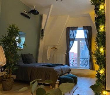 Roubaix Apartment | Capsule Roubaix/Lille Balneo*Home cinéma*Billard