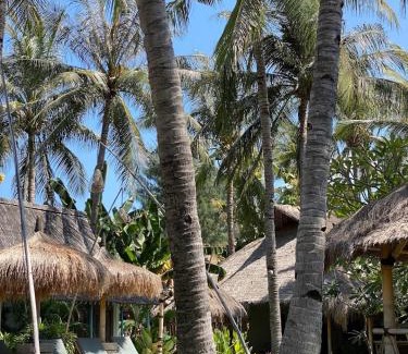 Gili Air Hotel | Captain Coconuts Gili Air