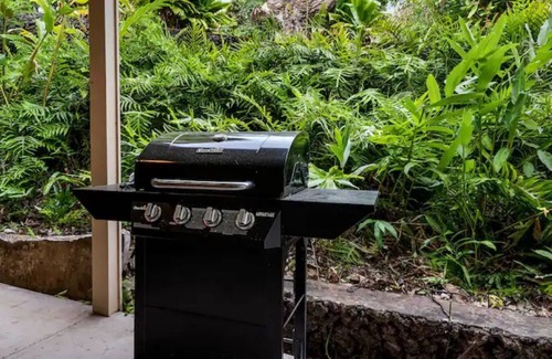 Honaunau-Napoopoo Apartment | Captain Cook Hide Away
