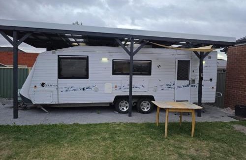 Clayton South Other | Caravan at 36 Clarevale