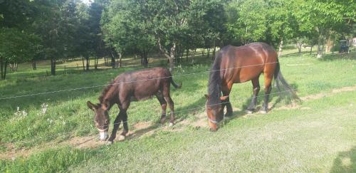 Saint-Marcet Other | Caravane 70's