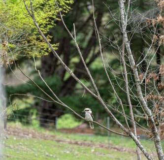 Basket Range House | Carawatha on The Range - Unique Farm Stay